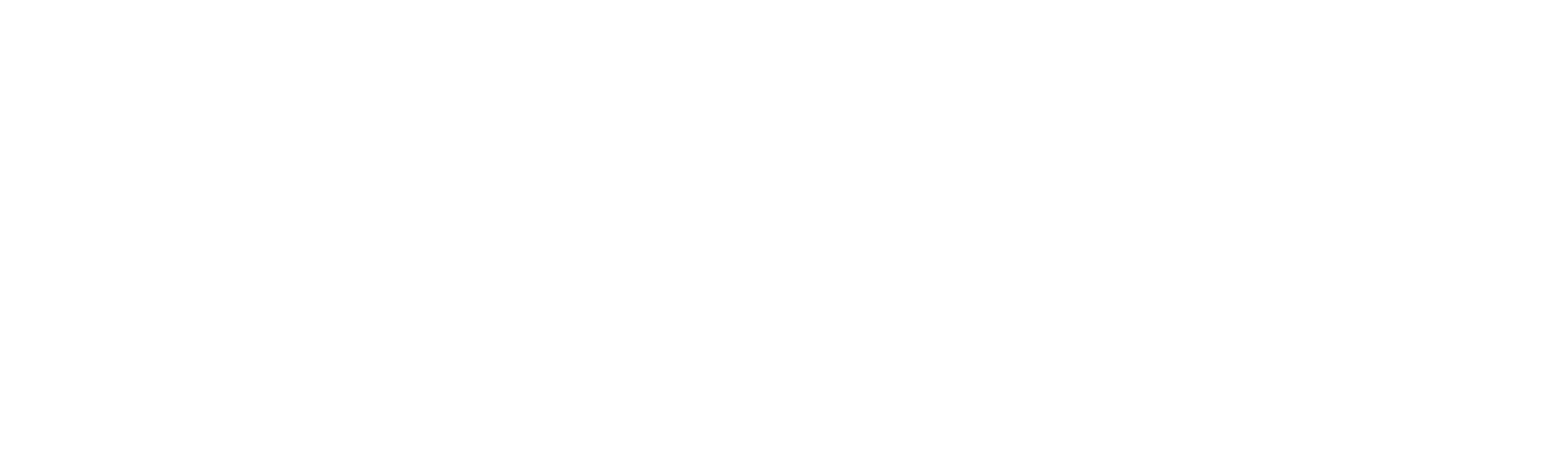 enplug-Logo-White